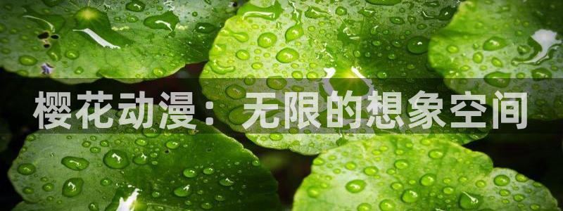 动漫天堂官网樱花动漫：樱花动漫：无限的想象空间