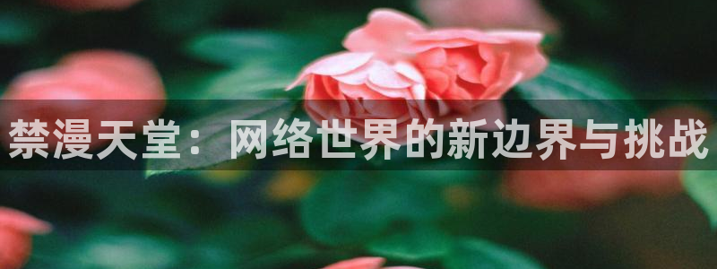 动漫天堂omofun：禁漫天堂：网络世界的新边界与挑战