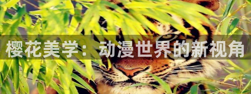 动漫天堂下载入口：樱花美学：动漫世界的新视角