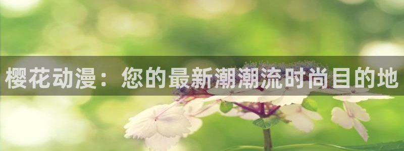 动漫天堂下载入口：樱花动漫：您的最新潮潮流时尚目的地