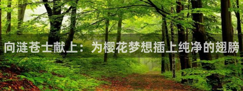 动漫天堂下载网：向涟苍士献上：为樱花梦想插上纯净的翅膀