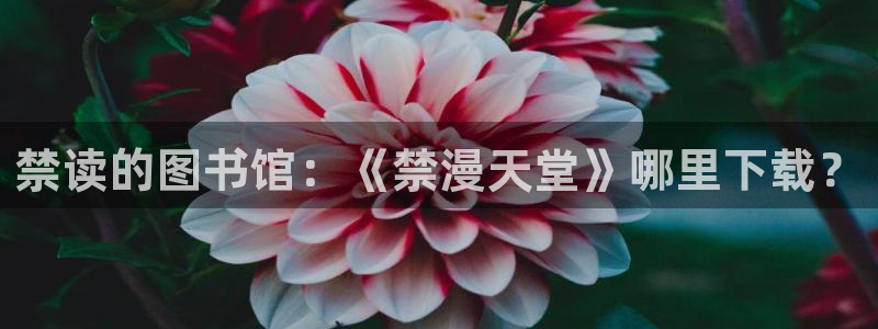 动漫天堂下载入口：禁读的图书馆：《禁漫天堂》哪里下载？