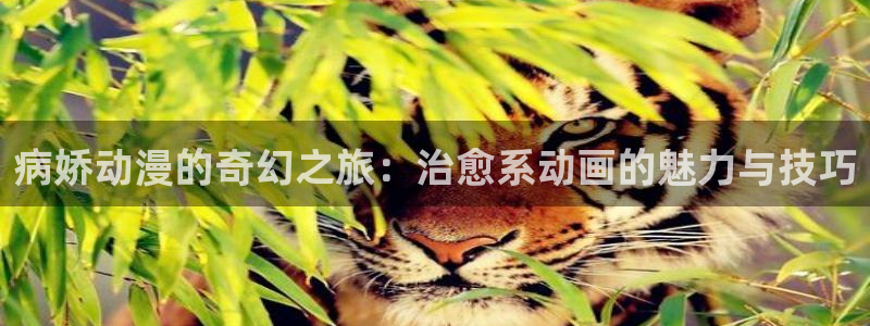 kakaopage韩漫官网：病娇动漫的奇幻之旅：治愈系动画的魅力与技巧