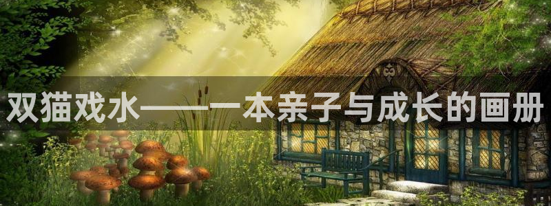 动漫天堂官网版入口：双猫戏水——一本亲子与成长的画册