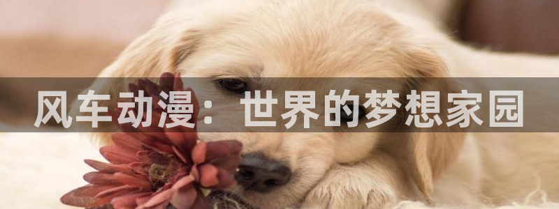 动漫天堂：风车动漫：世界的梦想家园
