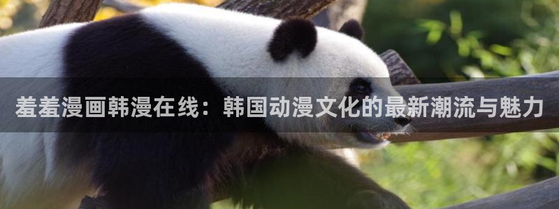 stagenehind韩漫免费观看：羞羞漫画韩漫在线：韩国动漫文化的最新潮流与魅力