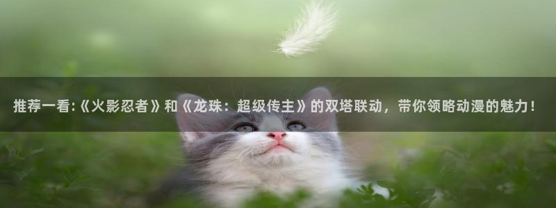 动漫天堂下载：推荐一看:《火影忍者》和《龙珠：超级传主》的双塔联动，带你领略动漫的魅力！