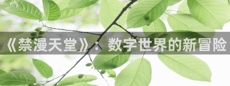 动漫天堂官网网址：《禁漫天堂》：数字世界的新冒险
