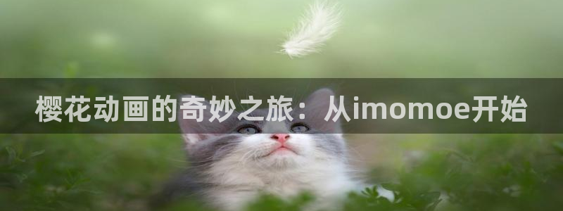 managereader漫画官网入口：樱花动画的奇妙之旅：从imomoe开始
