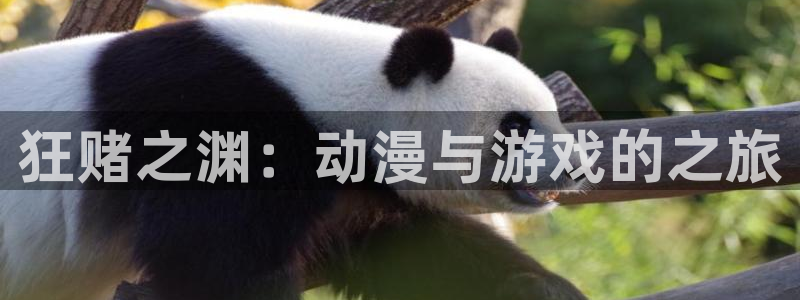 动漫天堂官网入口老版本：狂赌之渊：动漫与游戏的之旅