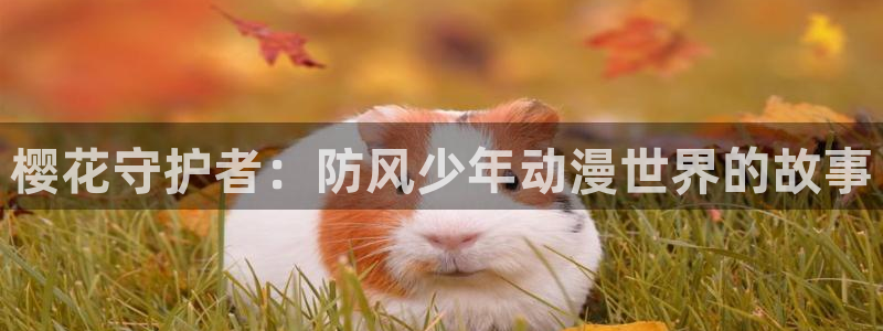 动漫天堂下载：樱花守护者：防风少年动漫世界的故事