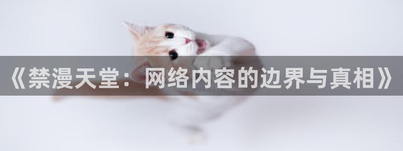 下载动漫天堂：《禁漫天堂：网络内容的边界与真相》