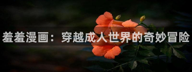 age专注动漫的门户网站：羞羞漫画：穿越成人世界的奇妙冒险