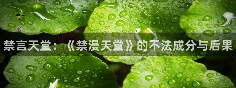 age漫画网：禁言天堂：《禁漫天堂》的不法成分与后果