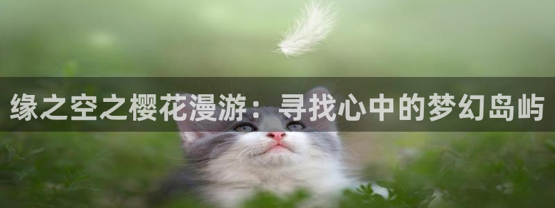 动漫天堂樱花：缘之空之樱花漫游：寻找心中的梦幻岛屿