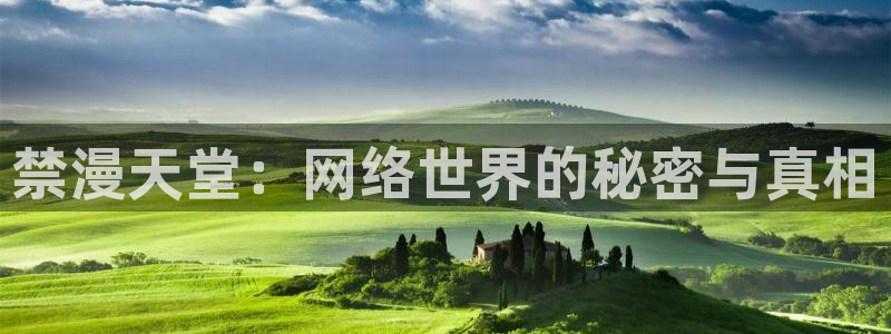 下载动漫天堂：禁漫天堂：网络世界的秘密与真相