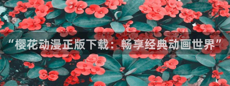 colamanage漫画