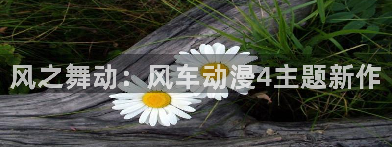 动漫天堂网