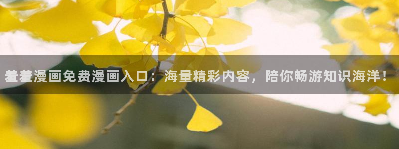 动漫天堂下载