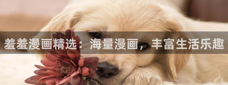 在线动画动漫下载动漫天堂