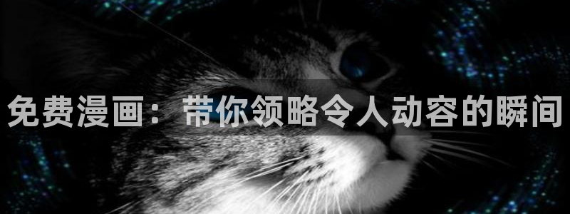 动漫天堂官网入口老版本