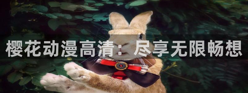 动漫天堂专注动漫的门户网站