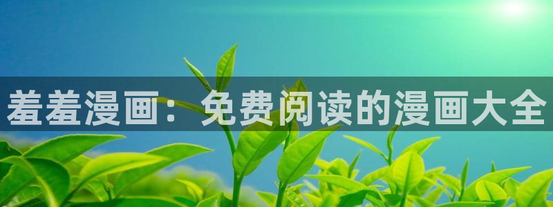动漫天堂正版网