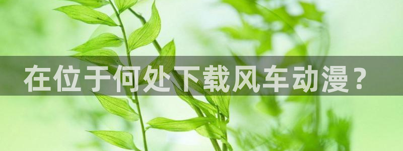 动漫天堂官网樱花动漫