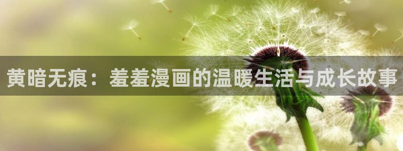 age专注动漫的门户网站