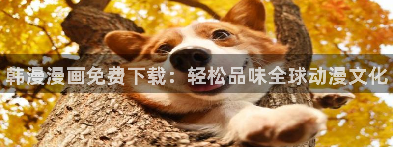 动漫天堂官网在线入口